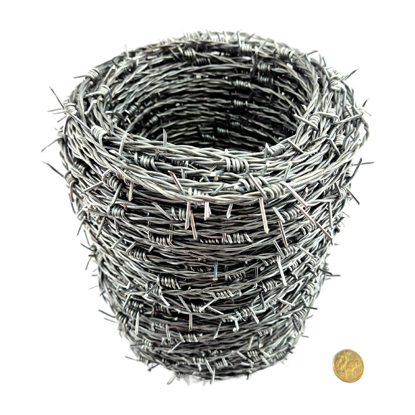 Barb Wire - Image 3