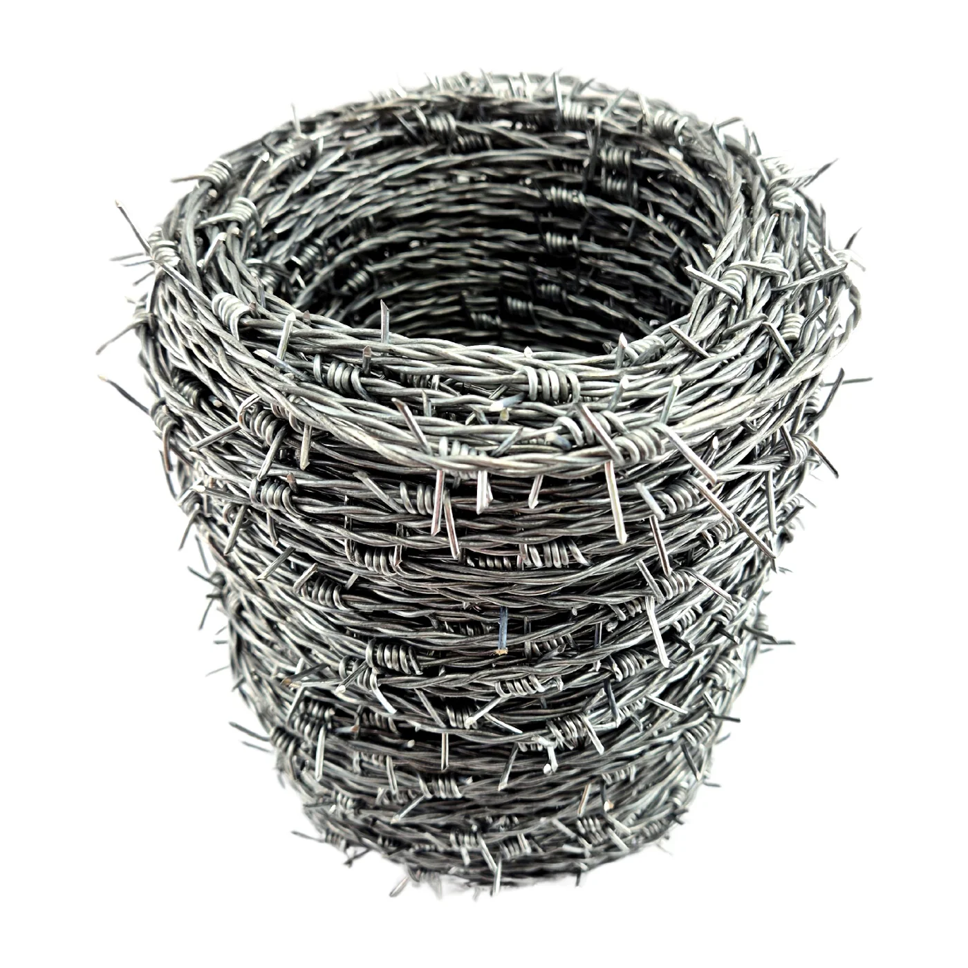 Barb Wire - Image 5