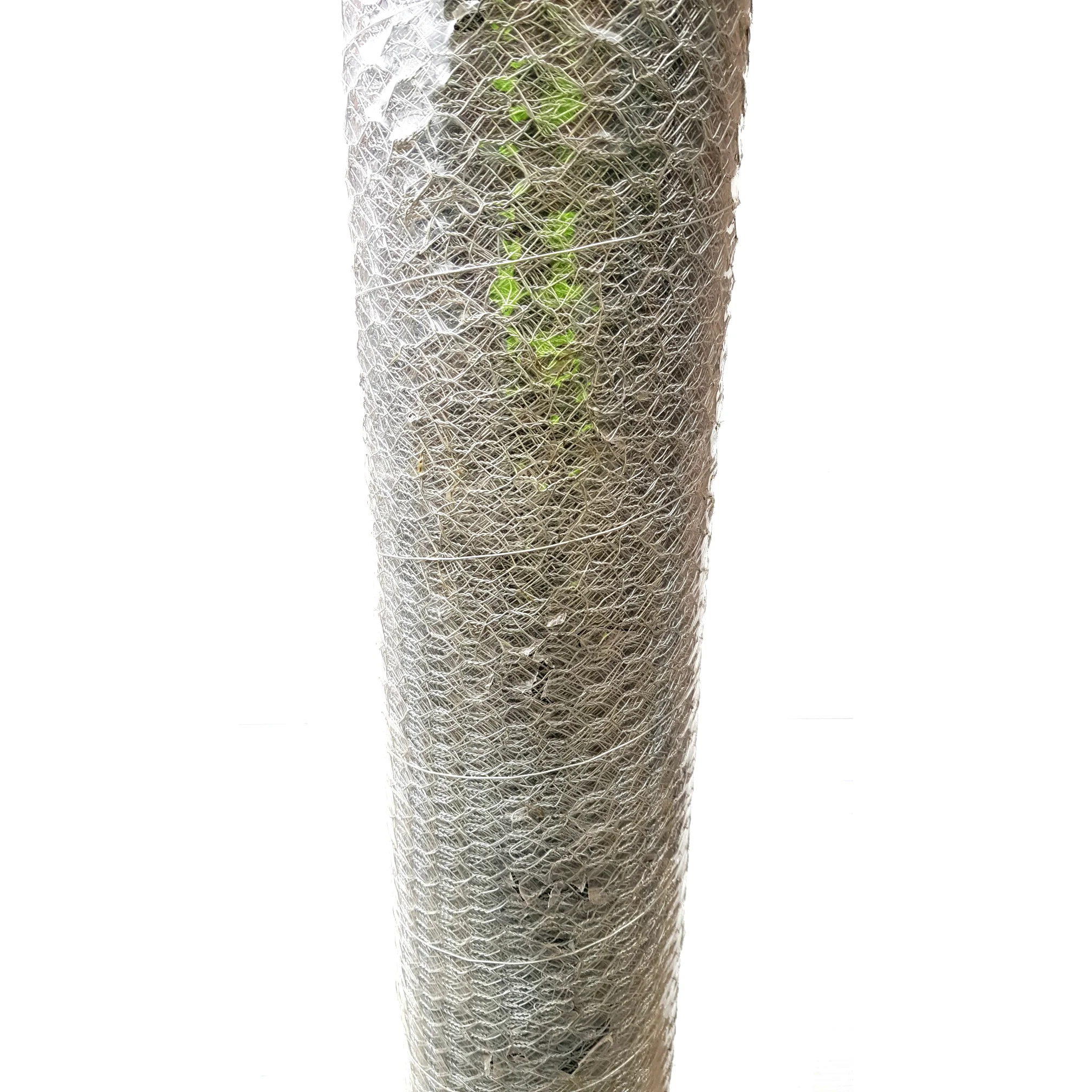 Chicken Wire - 12.5mm Opening x 900mm High x 30m - Image 4