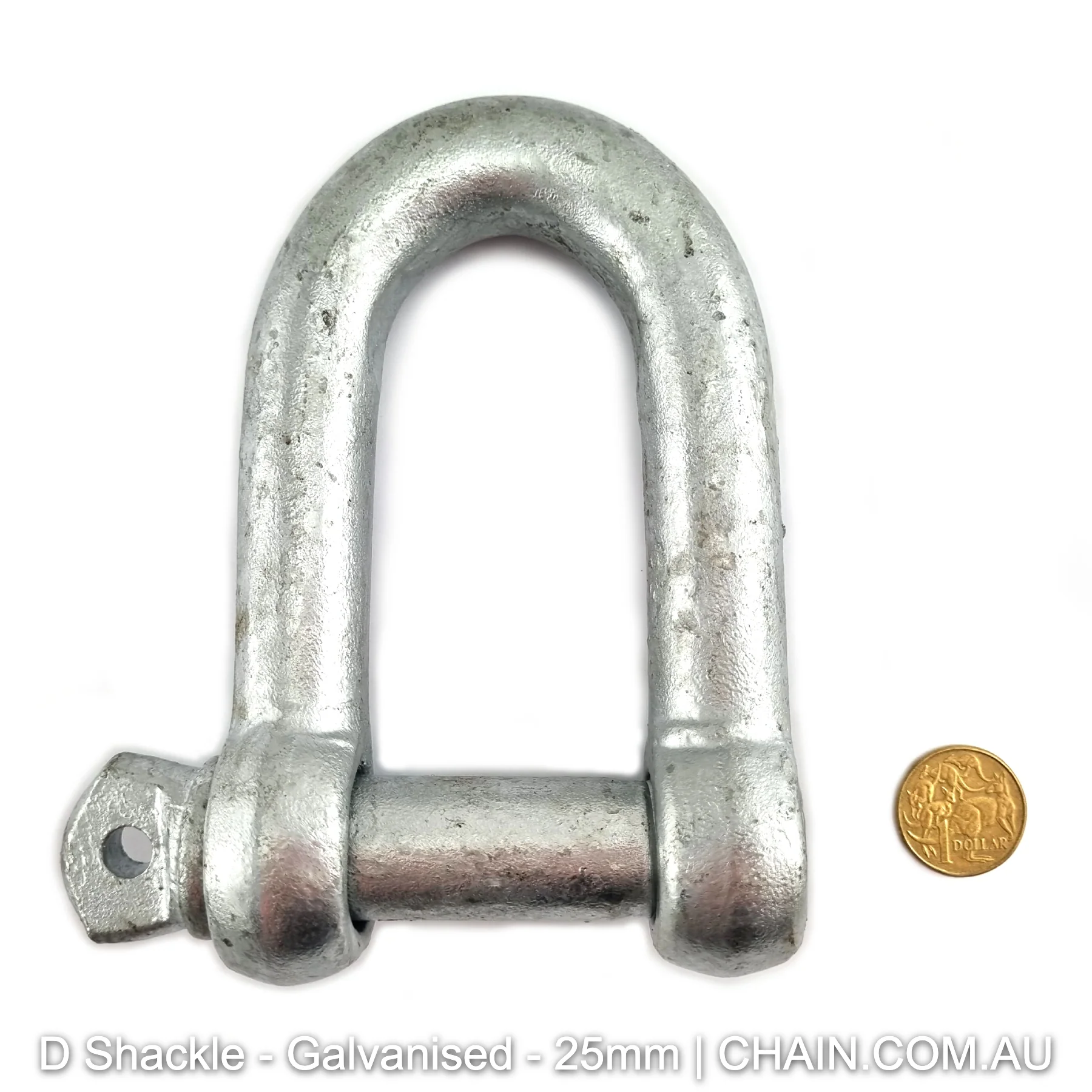 D Shackles - Galvanised - Image 10