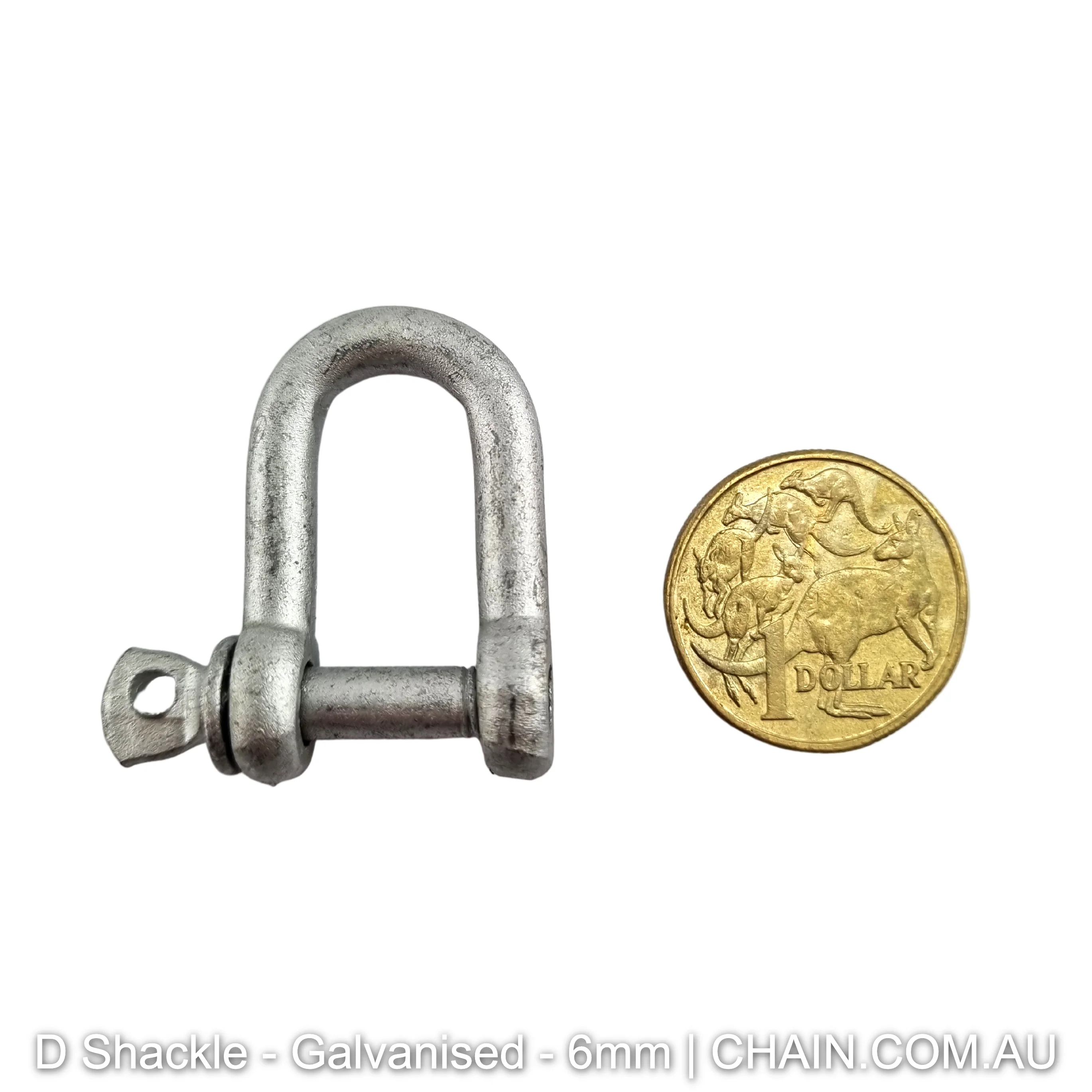 D Shackles - Galvanised - Image 3